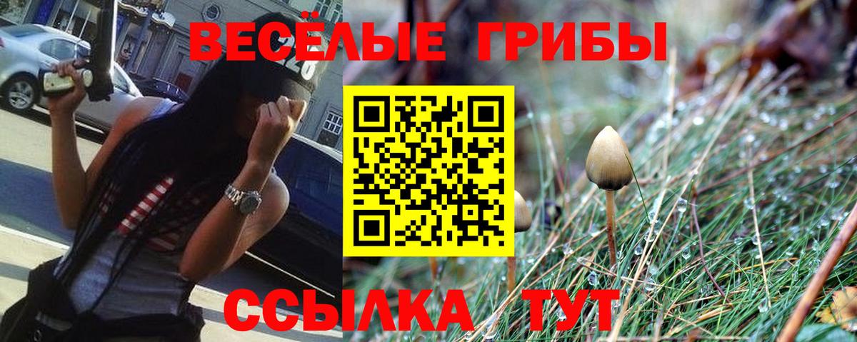 Электросталь  Псилоцибиновые грибы MAGIC MUSHROOMS  Вход с VPN 